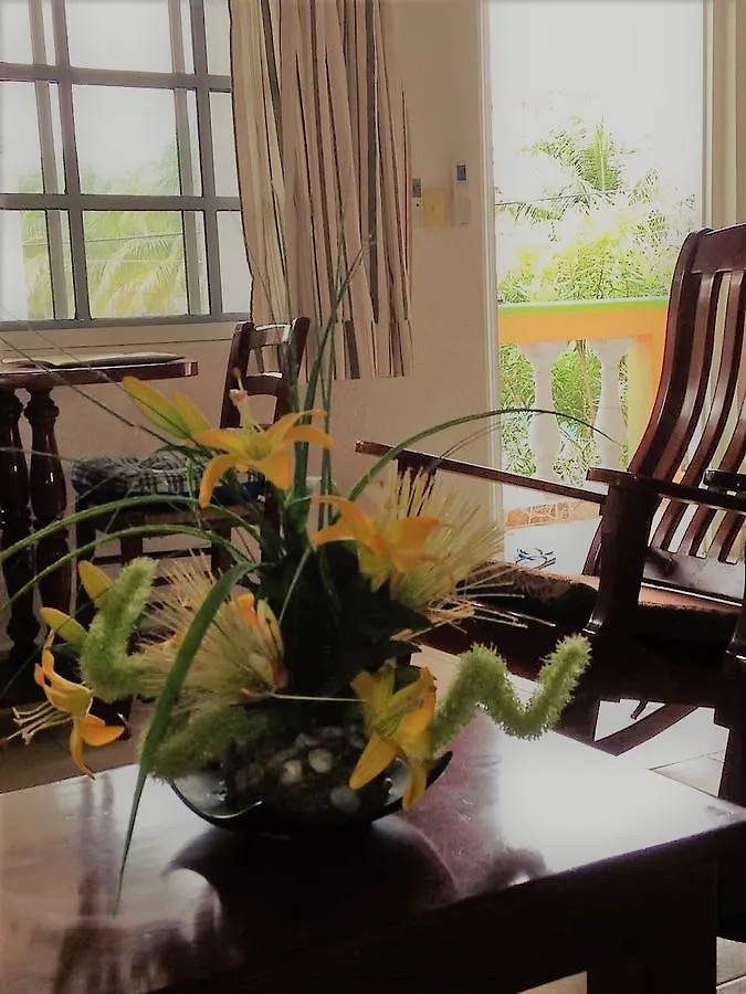 Daire Casa De Las Ranas Otel Puerto Morelos
