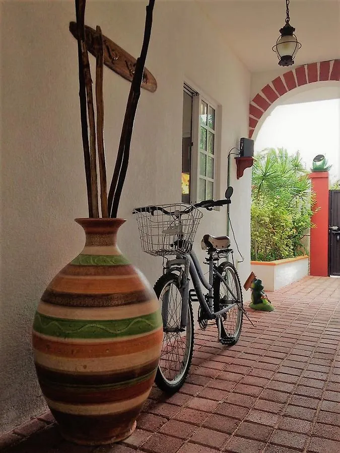 Casa De Las Ranas Otel Puerto Morelos 0*,
