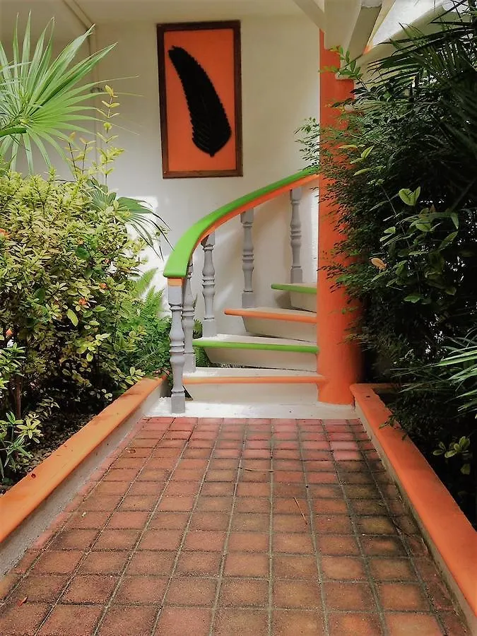 Daire Casa De Las Ranas Otel Puerto Morelos