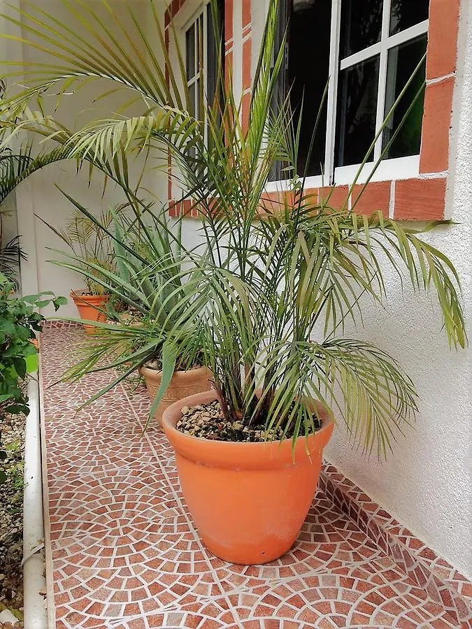 莫雷洛斯港 Casa De Las Ranas酒店 0*,  墨西哥
