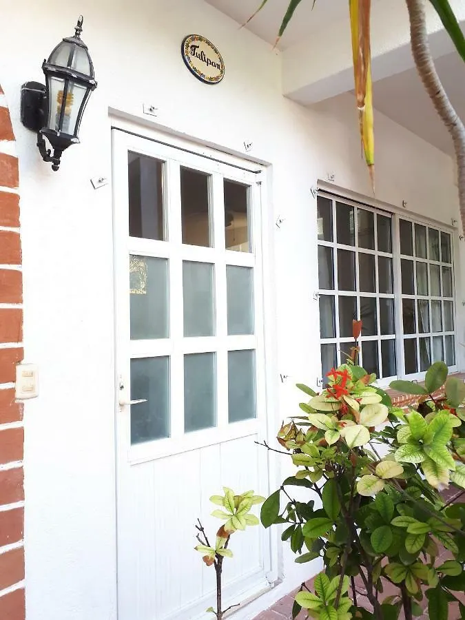 莫雷洛斯港 Casa De Las Ranas酒店 0*,  墨西哥